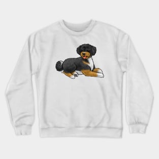 Dog - Aussiedoodle - Tricolor Black Tan White Crewneck Sweatshirt